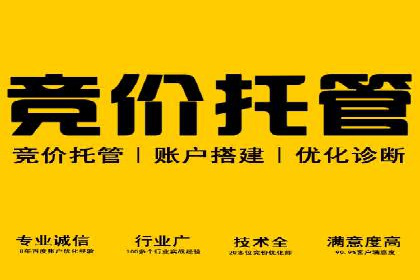 成功案例：SEM开户助力中小企业崛起